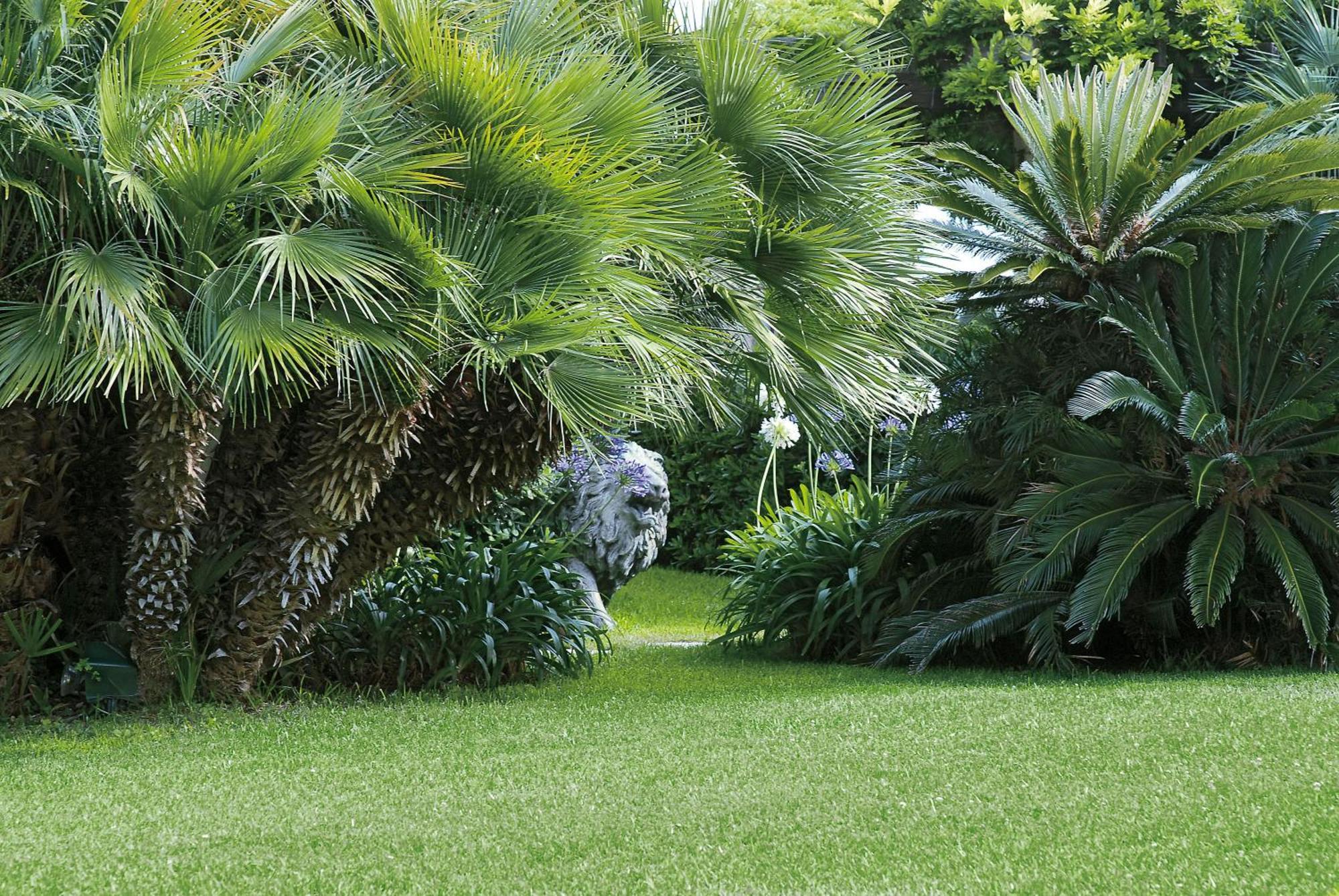 Grand Hotel Del Mare Resort & Spa Bordighera Eksteriør billede